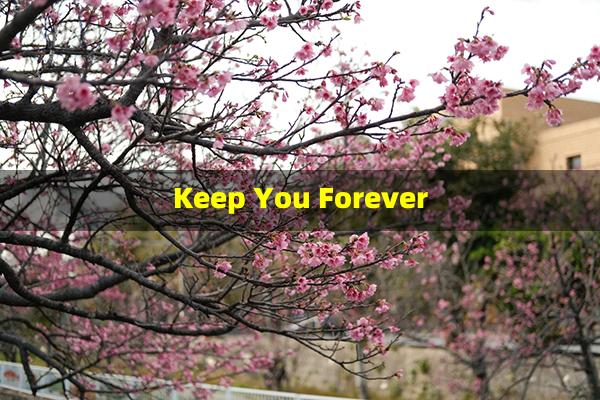 Keep You Forever
